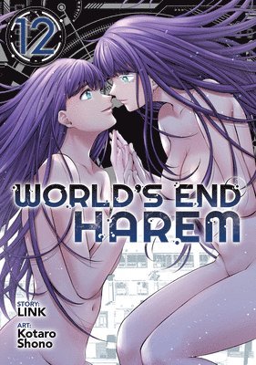 Link - World's End Harem Vol. 12, Häftad
