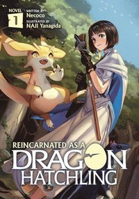 bokomslag Reincarnated as a Dragon Hatchling (Light Novel) Vol. 1