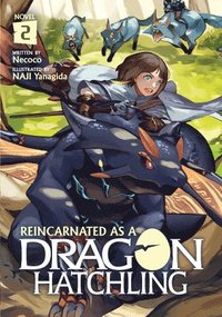 bokomslag Reincarnated as a Dragon Hatchling (Light Novel) Vol. 2