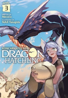 bokomslag Reincarnated as a Dragon Hatchling (Light Novel) Vol. 3