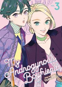 bokomslag My Androgynous Boyfriend Vol. 3