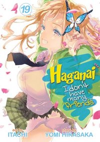 bokomslag Haganai: I Don't Have Many Friends Vol. 19