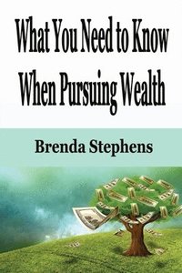 bokomslag What You Need to Know When Pursuing Wealth