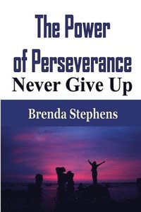 bokomslag The Power of Perseverance