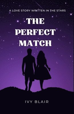 bokomslag Perfect Match