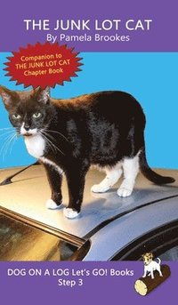 bokomslag Junk Lot Cat