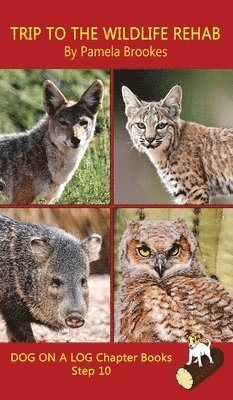 Trip To The Wildlife Rehab Chapter Book 1