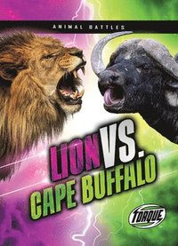 bokomslag Lion vs. Cape Buffalo