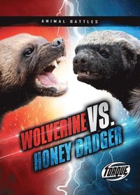 bokomslag Wolverine vs. Honey Badger