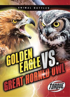 Nathan Sommer - Golden Eagle vs. Great Horned Owl, Häftad