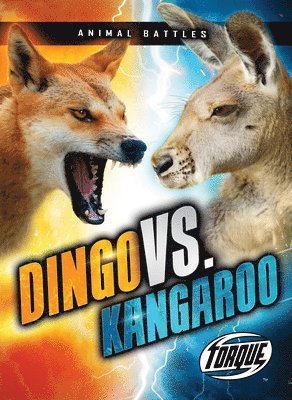 Dingo vs. Kangaroo 1