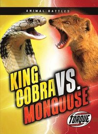 bokomslag King Cobra vs. Mongoose