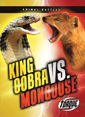 King Cobra vs. Mongoose 1