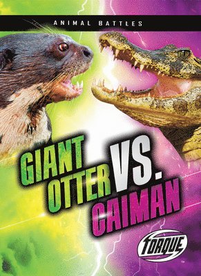 Giant Otter vs. Caiman 1
