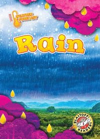 bokomslag Rain