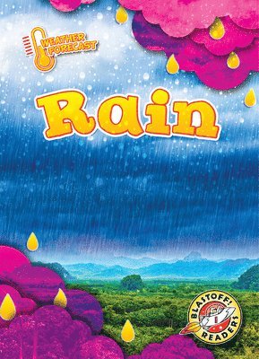 bokomslag Rain