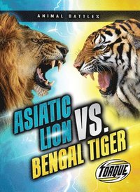 bokomslag Asiatic Lion vs. Bengal Tiger