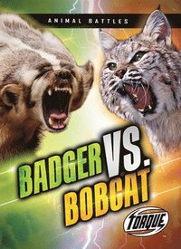 bokomslag Badger vs. Bobcat