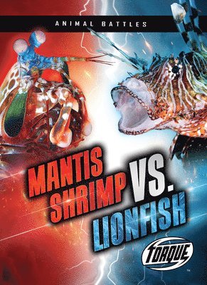 Mantis Shrimp vs. Lionfish 1