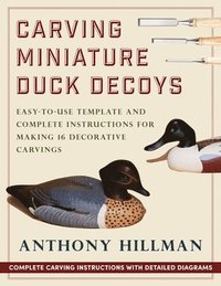 bokomslag Carving Miniature Duck Decoys