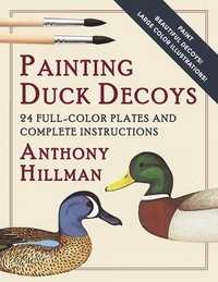 bokomslag Painting Duck Decoys