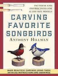 bokomslag Carving Favorite Songbirds