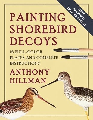 Painting Shorebird Decoys 1