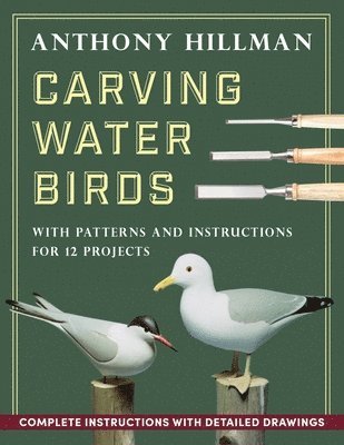 bokomslag Carving Water Birds