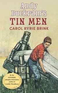 bokomslag Andy Buckram's Tin Men