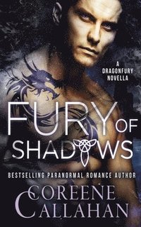 bokomslag Fury of Shadows