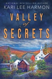 bokomslag Valley of Secrets