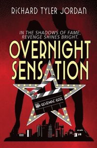 bokomslag Overnight Sensation