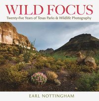 bokomslag Wild Focus
