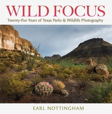 Earl Nottingham - Wild Focus, Inbunden