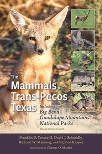 bokomslag The Mammals of Trans-Pecos Texas