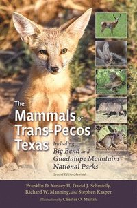 bokomslag The Mammals of Trans-Pecos Texas: Including Big Bend and Guadalupe Mountains National Parks