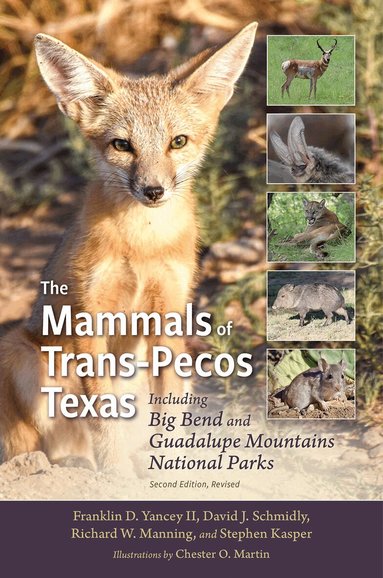 Franklin D. Yancey, David J. Schmidly, Stephen Kasper, Richard W. Manning - Mammals of Trans-Pecos Texas, Häftad