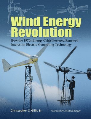 bokomslag Wind Energy Revolution Volume 30