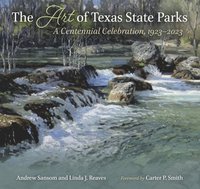 bokomslag Art Of Texas State Parks