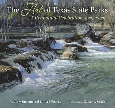 bokomslag The Art of Texas State Parks