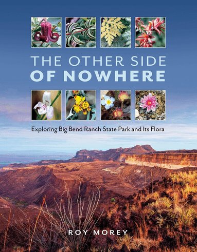 Roy Morey - Other Side of Nowhere, Inbunden