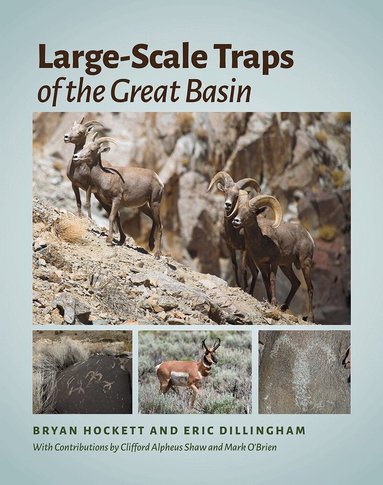 Bryan Hockett, Eric Dillingham - Large-Scale Traps of the Great Basin, Inbunden
