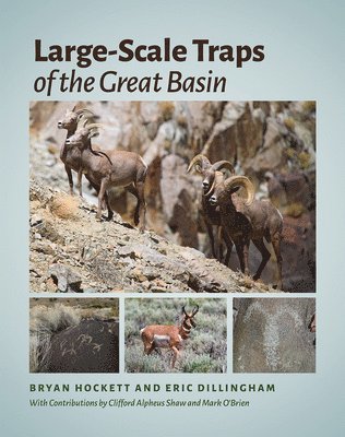 bokomslag Large-Scale Traps of the Great Basin