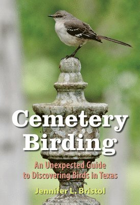 Cemetery Birding 1