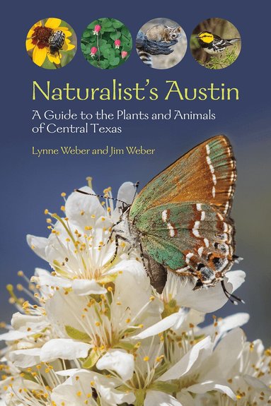 Lynne M. Weber, Jim Weber - Naturalist's Austin, Häftad
