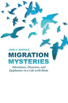 Migration Mysteries 1