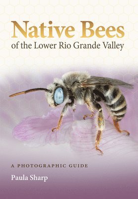 bokomslag Native Bees of the Lower Rio Grande Valley