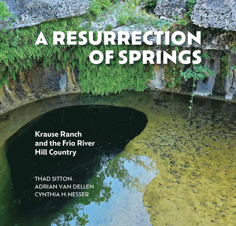 Thad Sitton, Adrian F. van Dellen, Cynthia Nesser, Adrian F van Dellen - Resurrection of Springs, Inbunden
