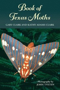 bokomslag Book of Texas Moths