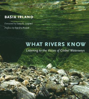 What Rivers Know 1